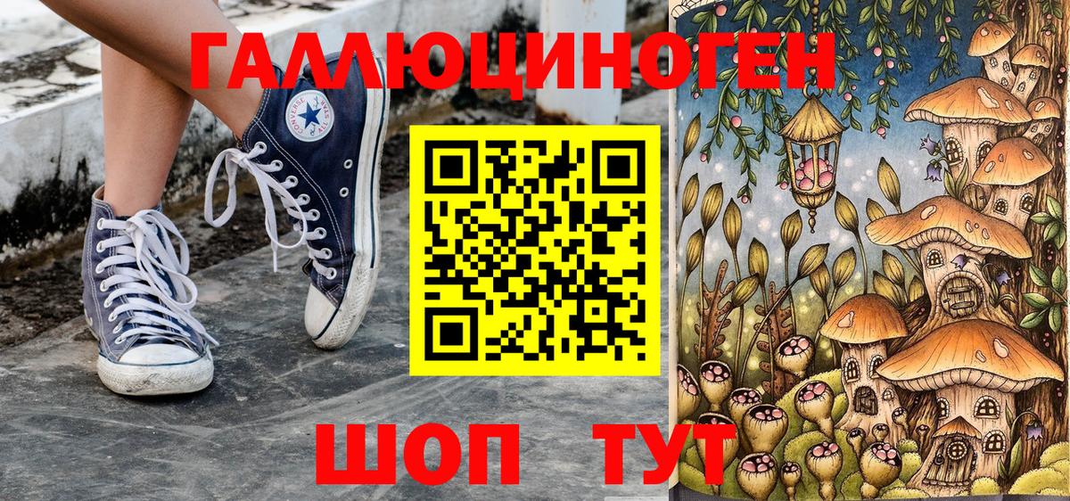 Галлюциногенные грибы Psilocybine cubensis Знаменск