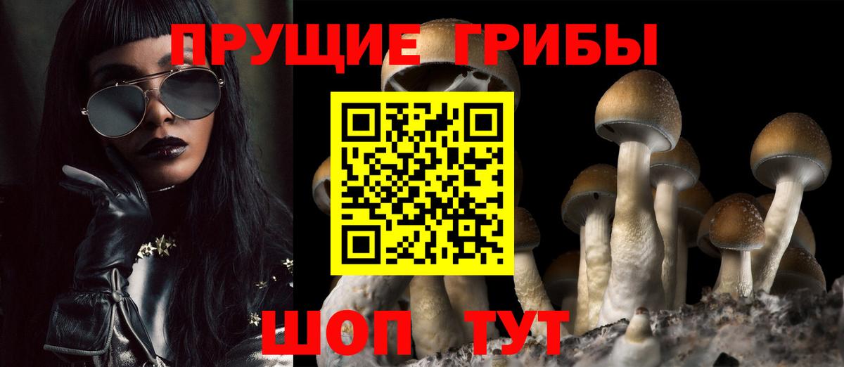 Галлюциногенные грибы прущие грибы  Псилоцибиновые грибы Magic Shrooms  Вход с VPN  Знаменск 
